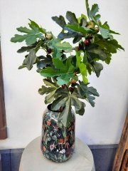 Metallgefäß mit Feigenbaum