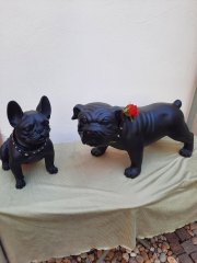 Die großen schwarzen Hunde