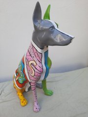 Der bunte Hund  ca.  68 cm hoch