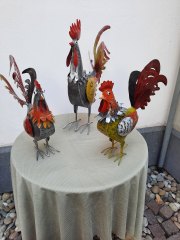 Das sind unsere Hähne